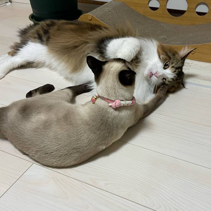 281e1fc7 a821 4e5a 93ae 148f5d36f4f2 1713556891045