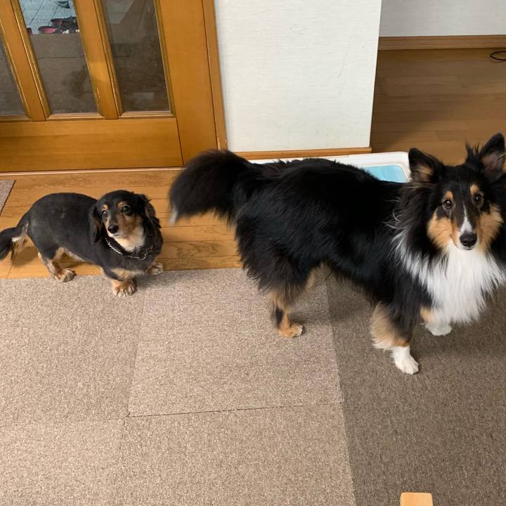 281e5178 d04a 4479 8f39 d3d7b3e8f807 1554673463606