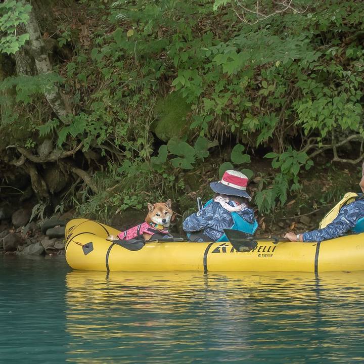 281ea518 1b0c 4157 8b4d 26b9843c1ccf 1730456513061