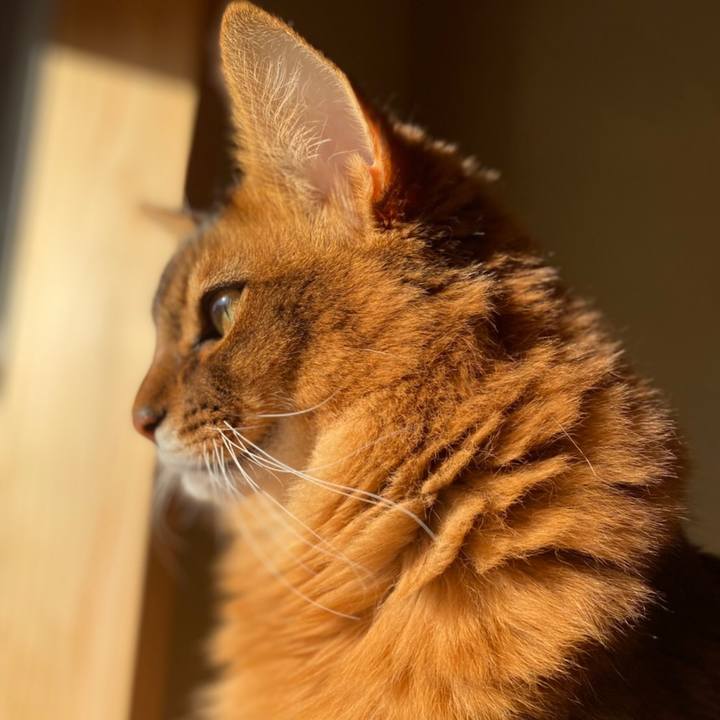 281eb8a1 ddd7 4e97 b49a 600767b3c3d5 1638146150481