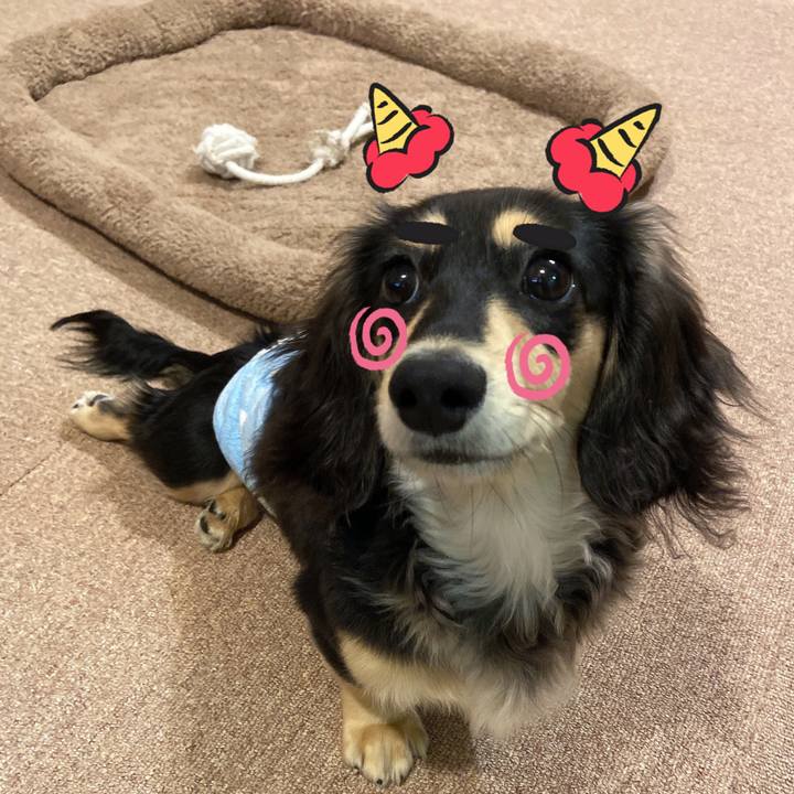 281ece1a 1159 42fe a5aa ed3876353047 1675421525249