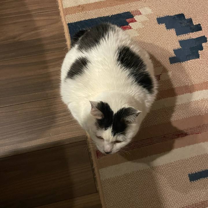 281ee182 82a3 47e7 a91f 0303ecf73b34 1738588985841