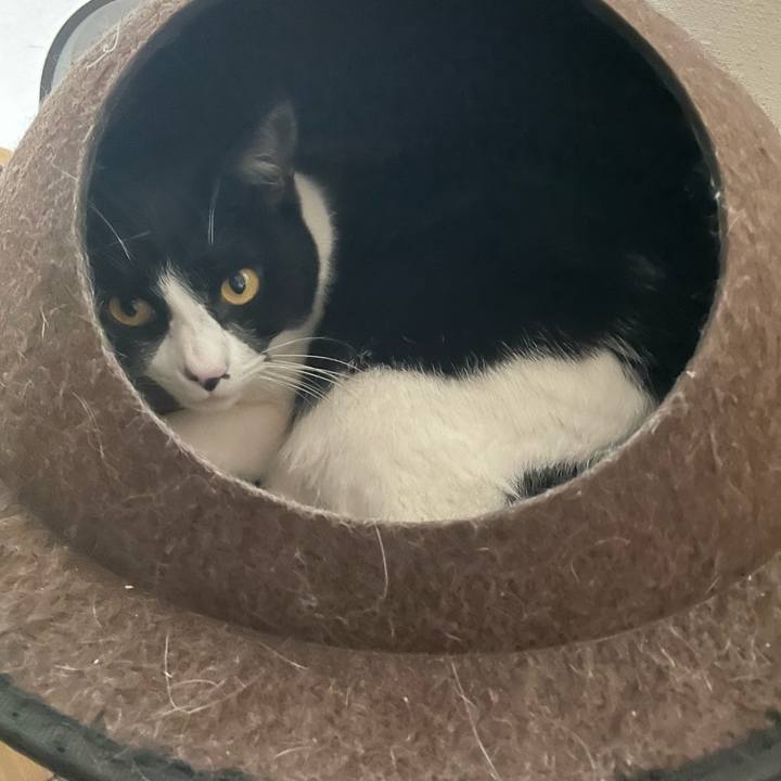 281ee533 ee48 452d aee5 0e8e92f0e740 1742034563938