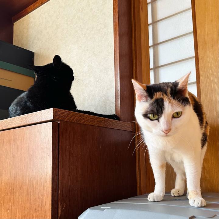 281eeb69 a48c 4095 a2ed cb7050b0ba52 1686798688499