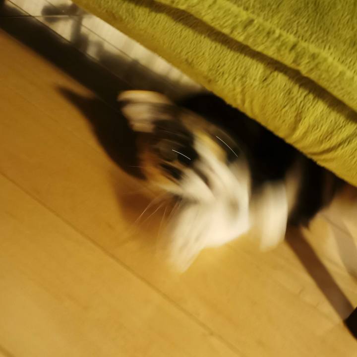 281f10e9 30d9 4420 bdd3 1ec3adfbf7c3 1642308619648