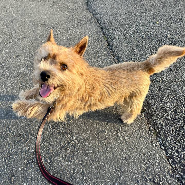 281f14eb 0afe 4597 b650 a30b7a4ccda3 1741685329060