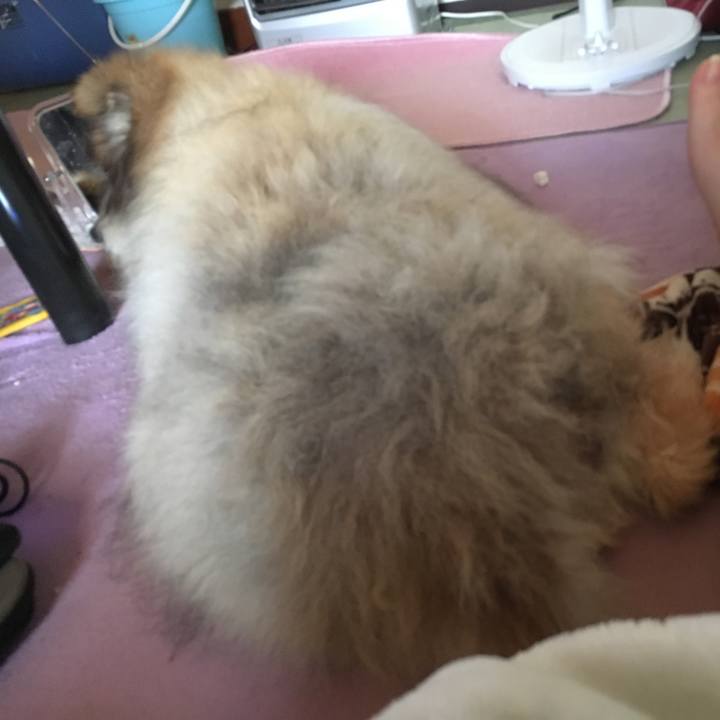 281f2b1a 37a2 45f9 aab6 7795b2fae4a1 1623212127459