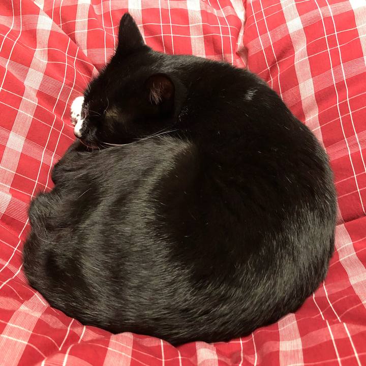 281f4233 f367 4149 8132 c5b27c4bf63a 1604980278890