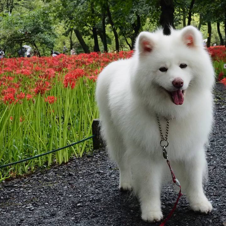 281f4f01 b10f 4f80 ad78 0e24f0c62597 1663574689764