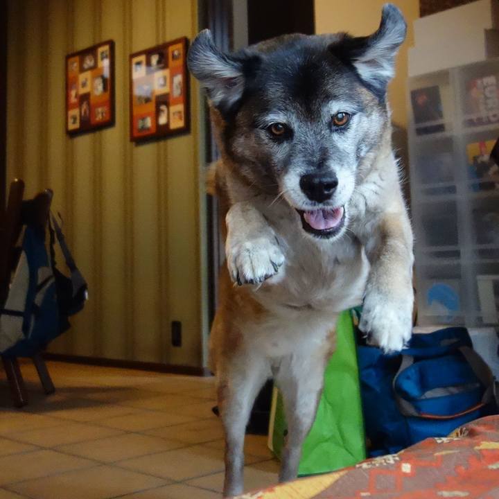 281f9e52 e921 4264 a1d0 8c2d7b598201 1526695324738