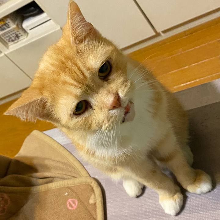 281fba2a b6ee 41a1 8084 2d26a112df18 1609166126594