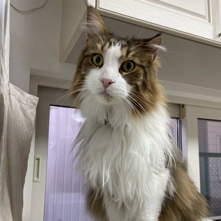 281fd235 de06 4c81 bc48 ec99a4562e80 1686599625796