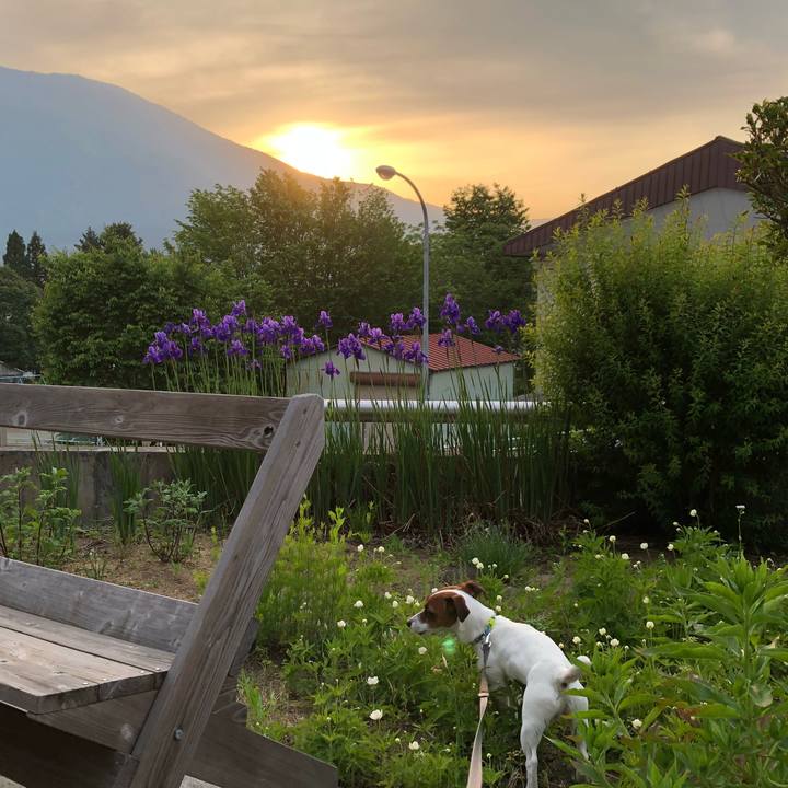 281fd4b8 72b1 469b 8a1b 7bc87e4a6543 1527504380909