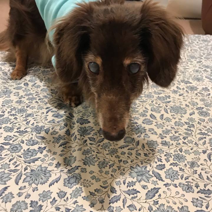 281fdb53 7eb9 4f18 a941 8d701576e8a1 1551833399316