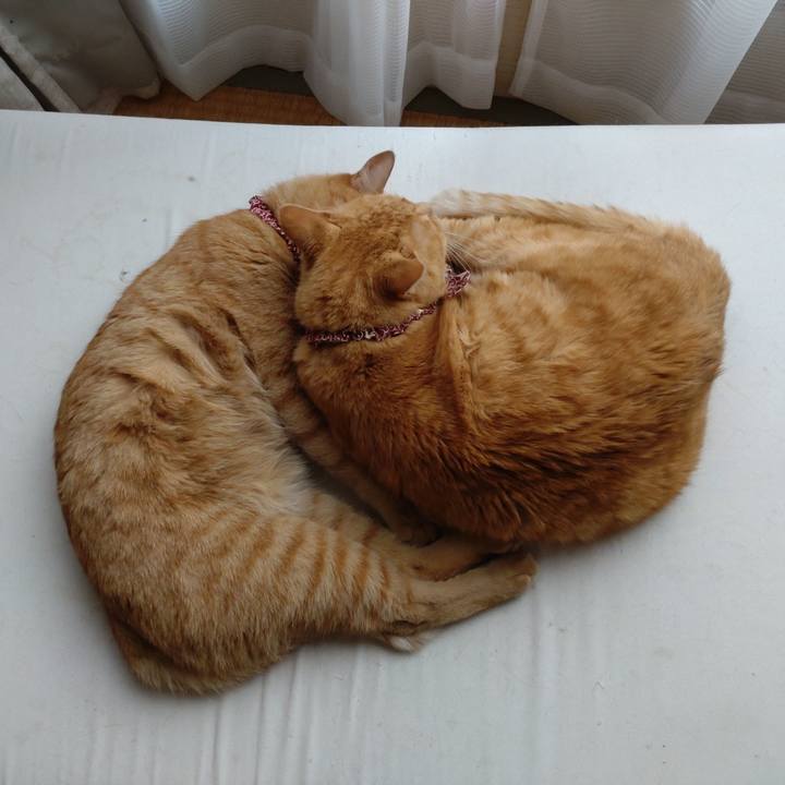 282001fd a082 4425 94fa 135d16ad73cc 1628426381599