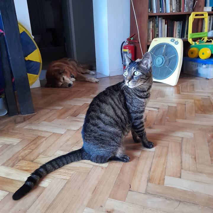 282023ba 4f1a 4cd3 b872 e4d0ab98a9bc 1765419048645