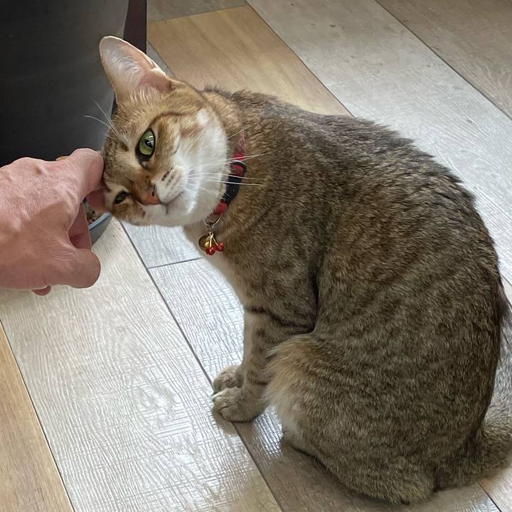 282059fa 80e1 4c61 9b3d 8d695af72809 1693458752671