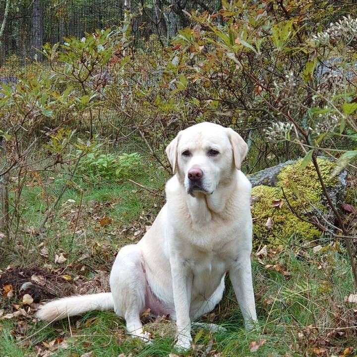 282083eb 8ec1 4fb8 bcea 4d5512da5436 1665655852598