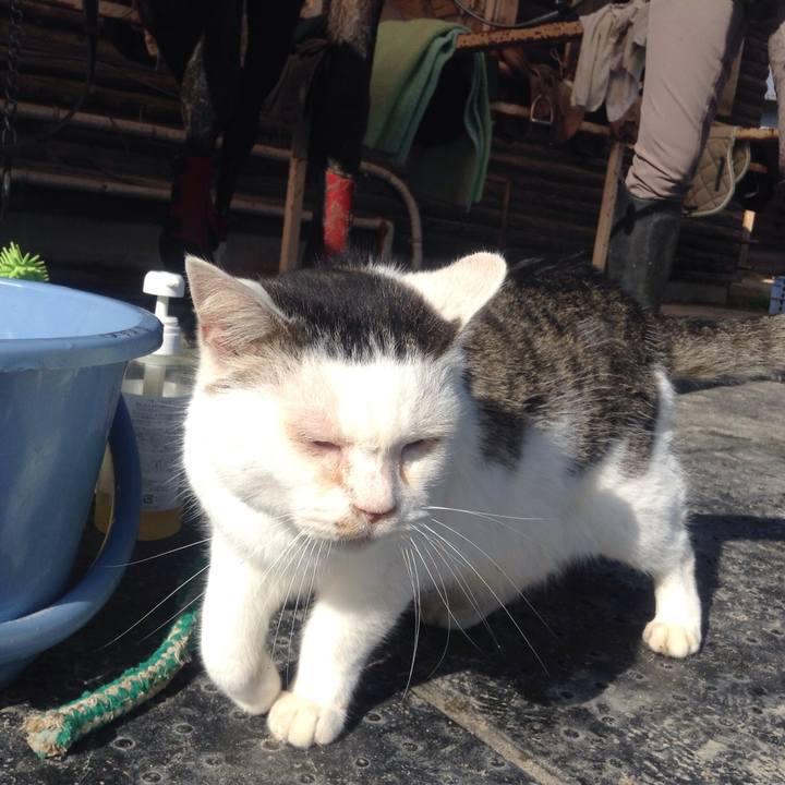 2820a862 2e72 4b8e b574 2b8f377f1993 1545916543522