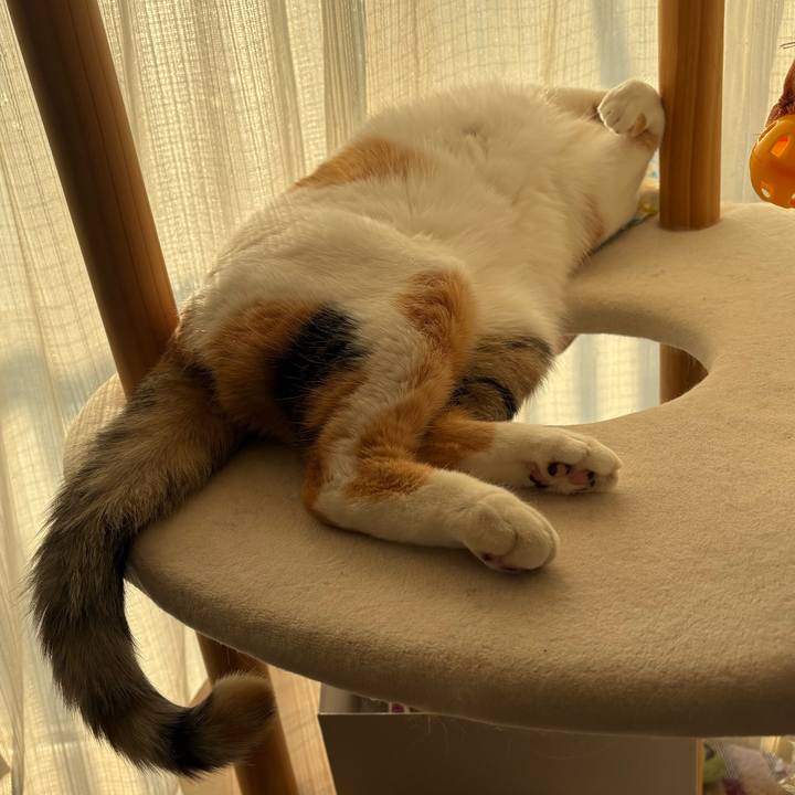 2820ef0b 040f 47c5 8f07 3dc15fd23ff4 1771140161425