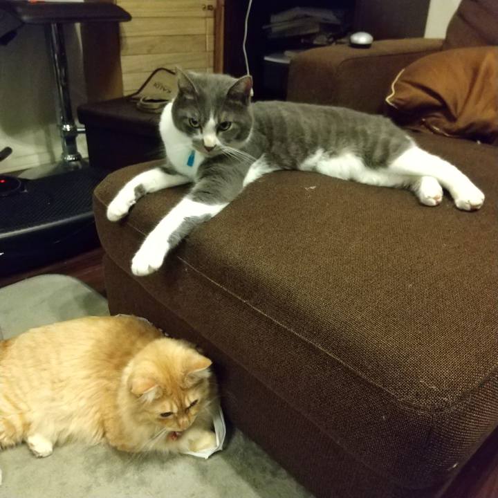 2820f0ce 1ee5 4fc4 897d 172ff853afe8 1631887740666