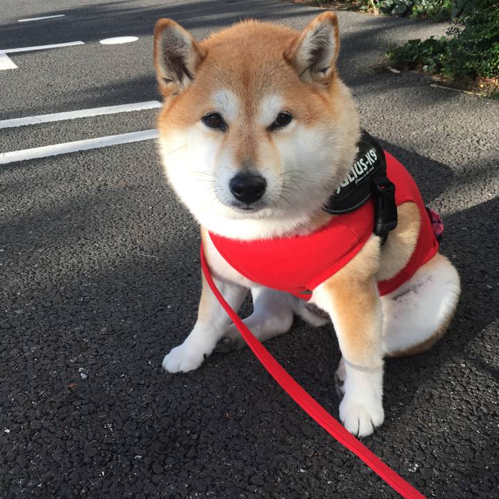 28211bbc 2255 4bd2 a092 ebad3fab8249 1575199256433