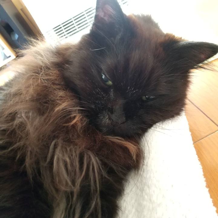 28212a0b d3eb 4867 a6f1 ce9338d9acbc 1705274170901