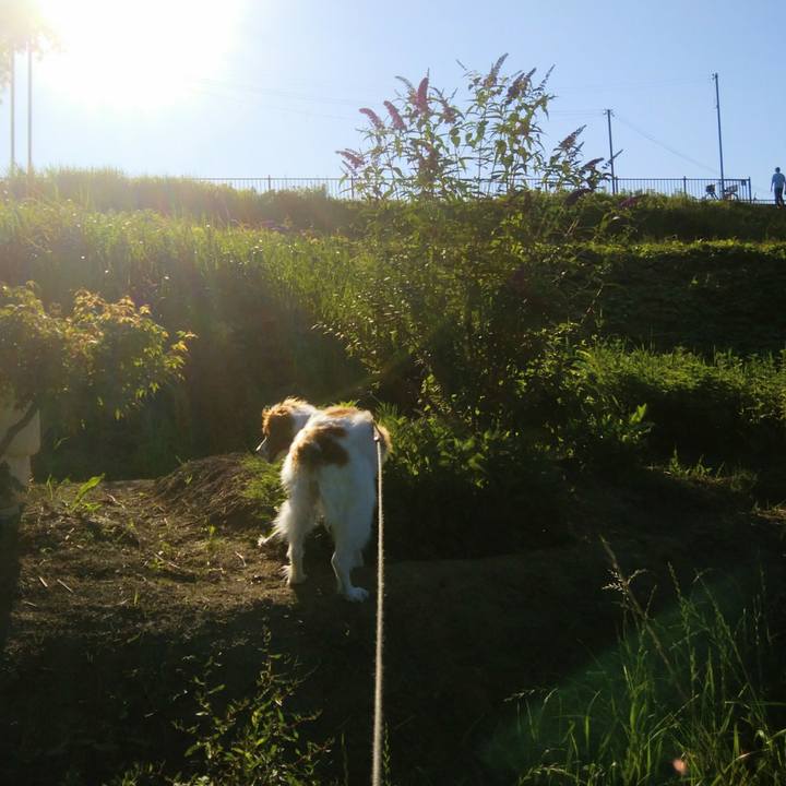 28214210 2d40 4a26 8e36 747fb5a1da1a 1529151315475