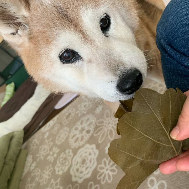 2821449e 3b8d 4b92 8c87 43a8b2ff712c 1683261298588