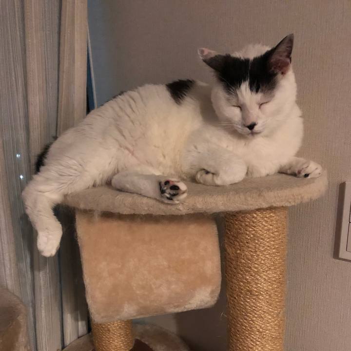 282146af eaba 4436 8977 f7df8f3dd30a 1560176607024