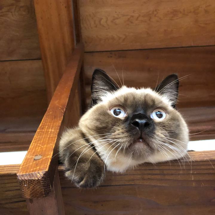 28217bcb e987 4e03 af65 37eff7cc1d90 1596753563181