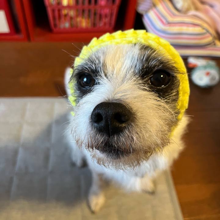 28218990 6195 49c0 a291 4802c8d6e3af 1736760524114