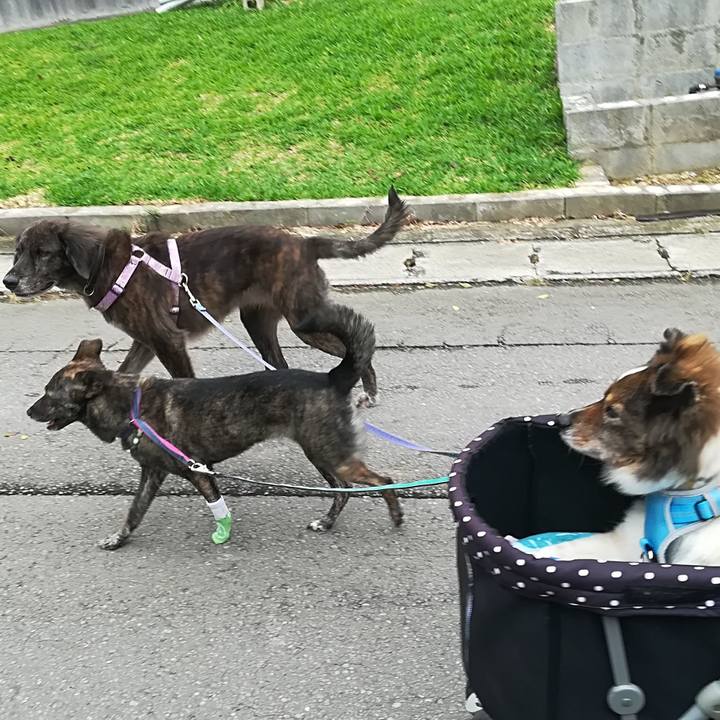 2821d820 d880 4588 8bd2 44f8c8d09b8c 1605966194668