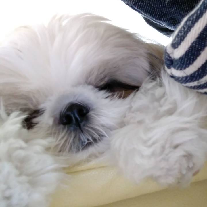 2821f614 5d7a 4eec a742 9a5fd54c5f4b 1545531202388