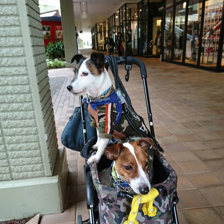 282208f6 2784 46f7 af16 0f195b8f10f6 1551953657057