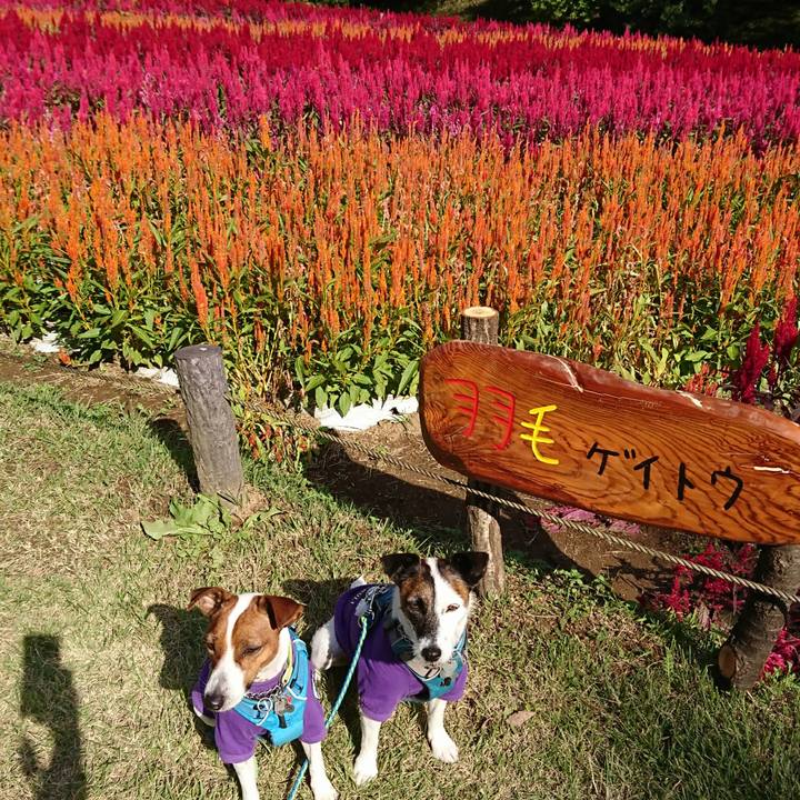 28222412 5e0b 42d5 8794 277612c6ceeb 1603255308465