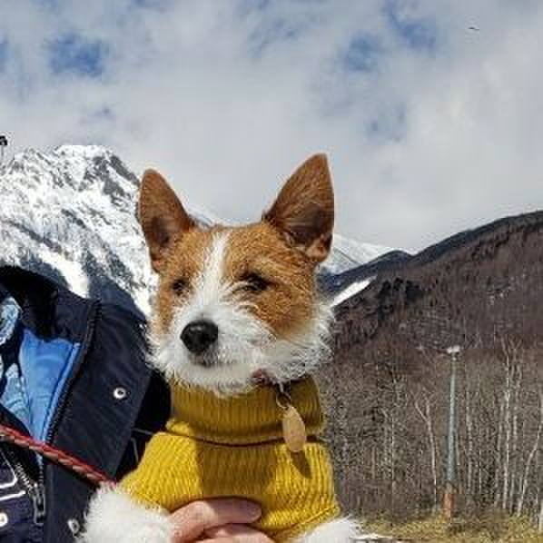 28223681 3b6f 44cb b9f9 febb9b33c52c 1553391956640