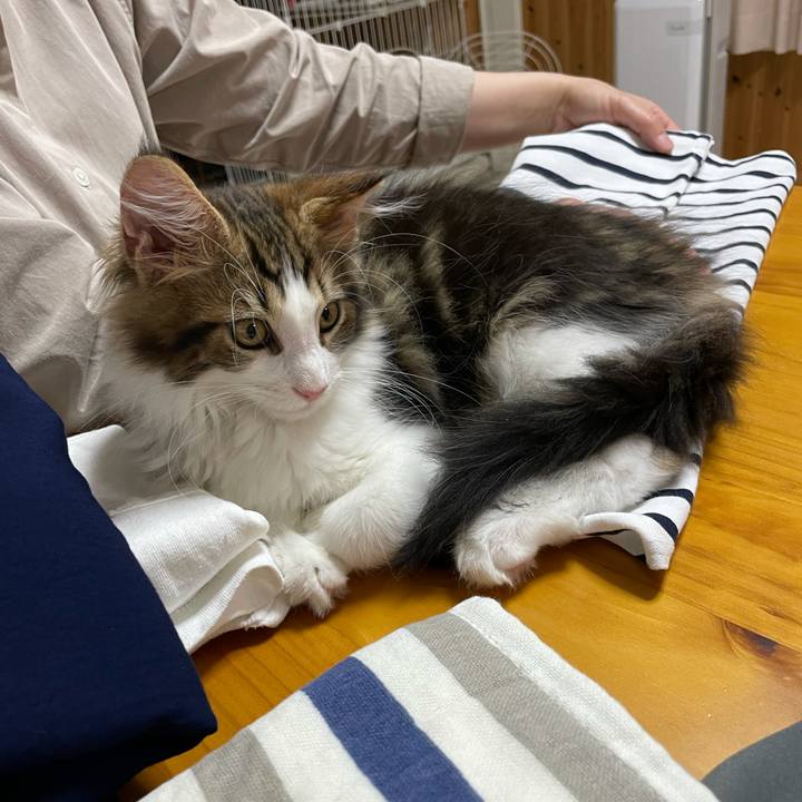 28224184 62b6 4c29 862d 7d166c135bb1 1632910312889