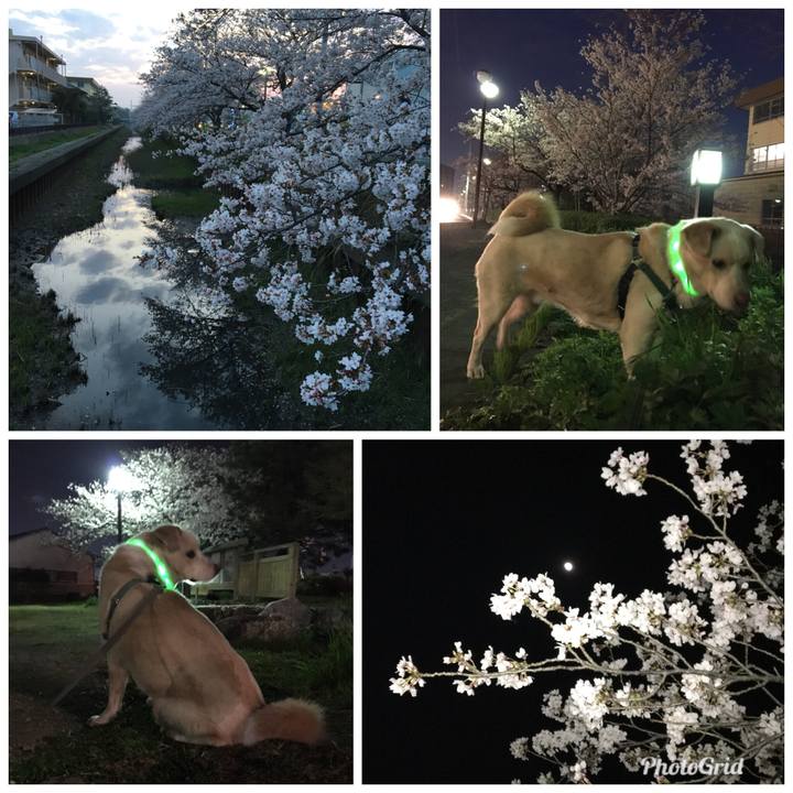 28226ae4 04fa 49f3 947d 12934d4e15bd 1522147005148