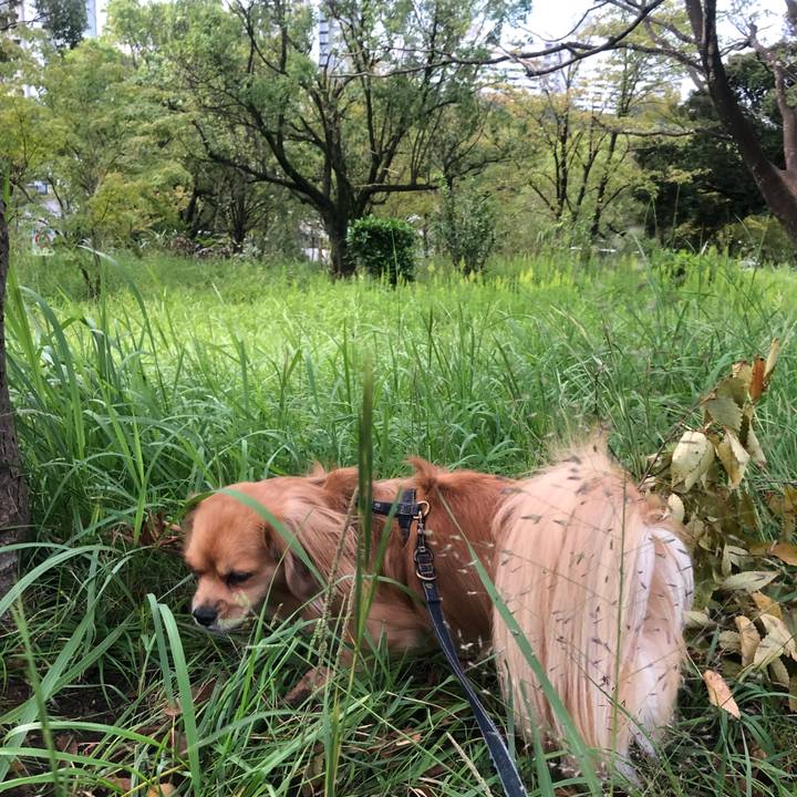 28228ef4 40af 4b94 9e92 c8aa69ee56a5 1538430451616