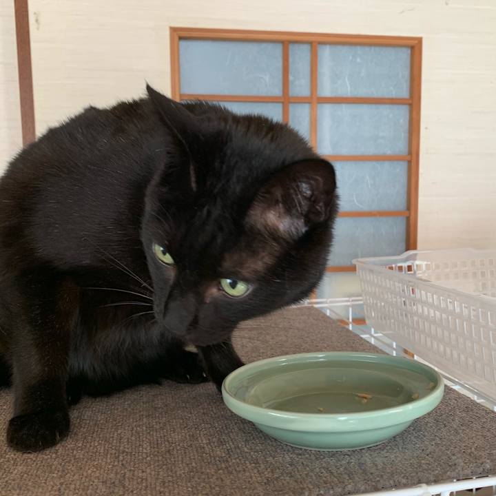 2822952f d9f6 405c bb85 78f8ce9e02b2 1555376560749