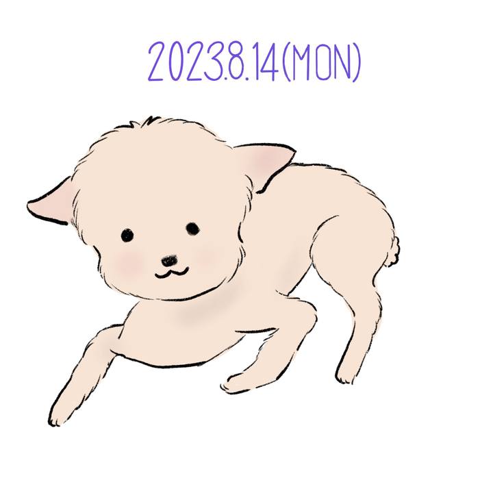2822a22e b648 437e 8c31 9426f867b545 1692019497136