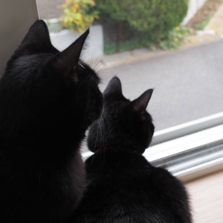 2822c966 4a9f 4668 8b58 3c3e4b9ecdad 1541026279374