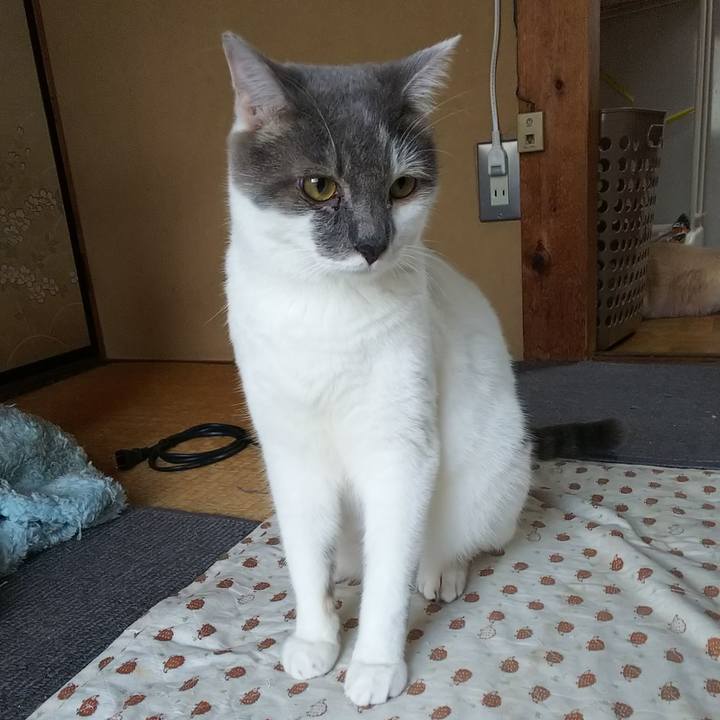 2822dd30 f32f 4a5a a5ea 32eb108dd908 1531902211799