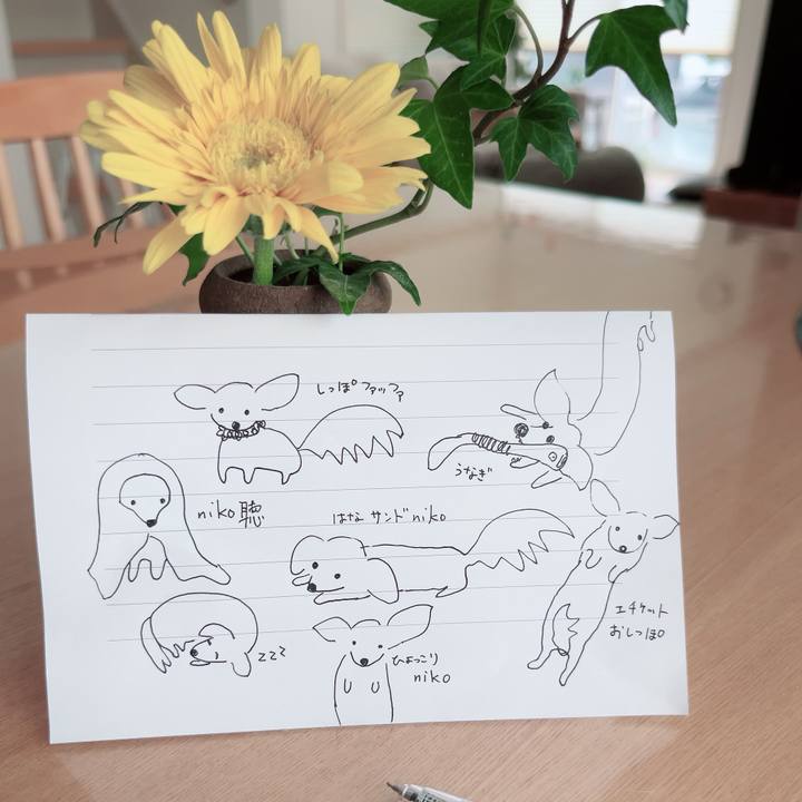 28230842 4e1e 4e99 85ef 9d90201a3117 1701744777393