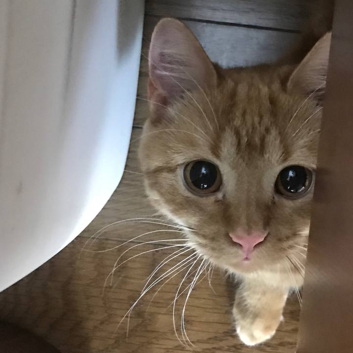 28231aa4 5d46 49b1 956f 9db0f757bdeb 1518102887825