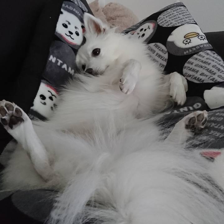 28233b7d c175 488d a633 9de1d2a3cca1 1559538777698