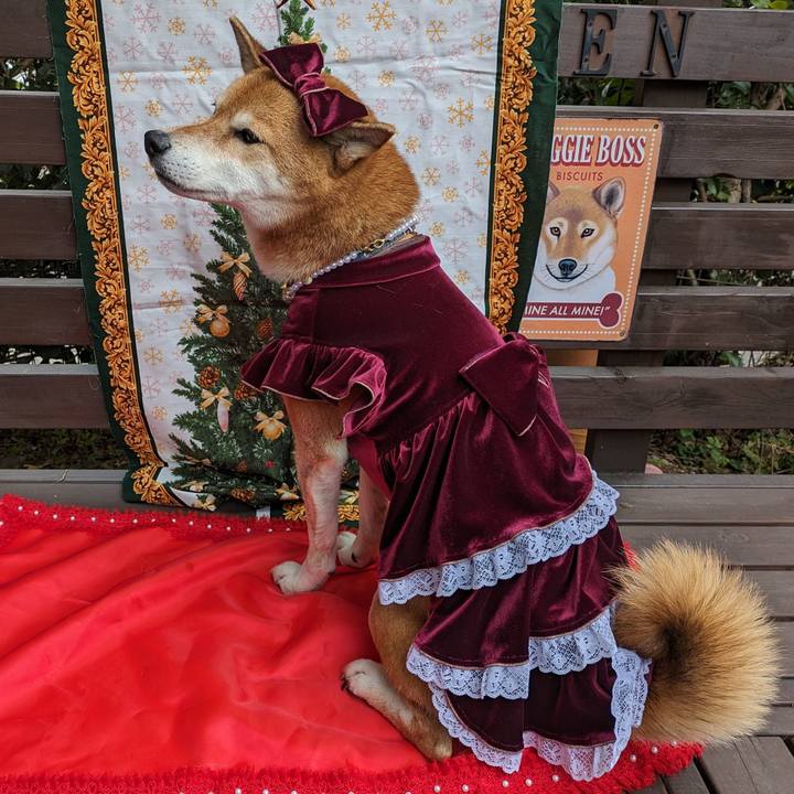 28234263 cdd4 4132 8648 b6fc7cb15fa8 1701437663568