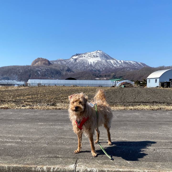 28235ca5 2b3c 4b43 bf56 099c1f2c210a 1679207811755