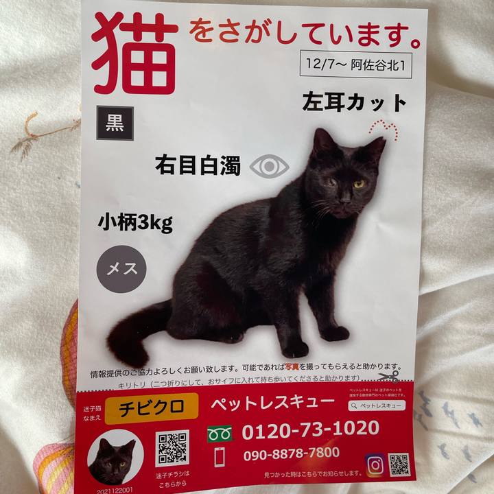 28237b5e 1b91 4748 bbd0 ba2e2fdb2e79 1641300247356